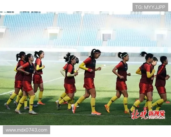 凤凰山足球明星的崛起与荣耀背后的故事与梦想 凤凰山足球明星的崛起与荣耀背后的故事与梦想