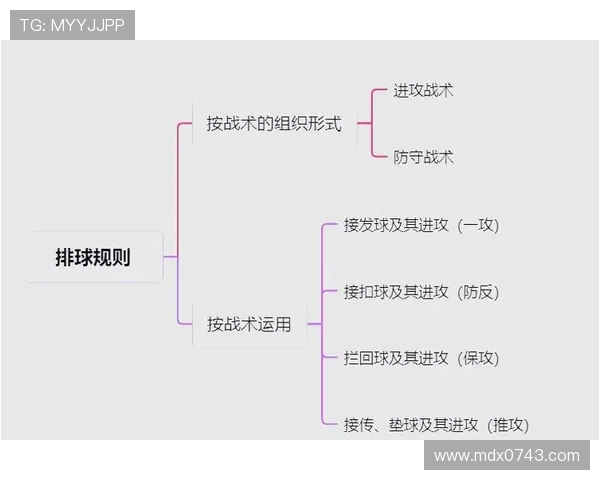 北京排球队的战术分析与控制能力的得失探讨 北京排球队的战术分析与控制能力的得失探讨