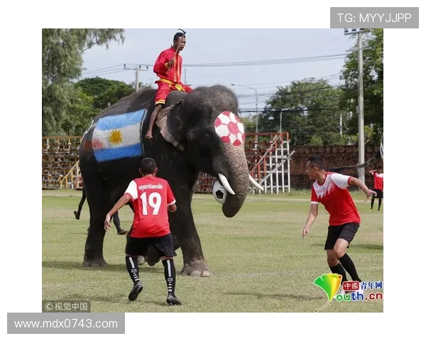 当今足球界的超级巨星们谁能称霸绿茵场引领未来潮流
